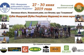 IMG-99ec106b0ba660ad40d1861b229d756a-V