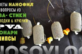 fiiSPn101j8