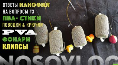 fiiSPn101j8