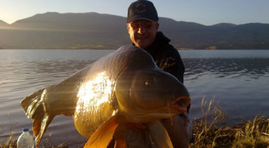 use-carp-bait