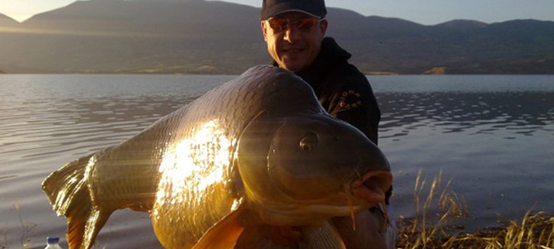 use-carp-bait
