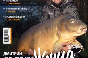 Cover-29-2