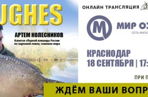 hughes-1140-360