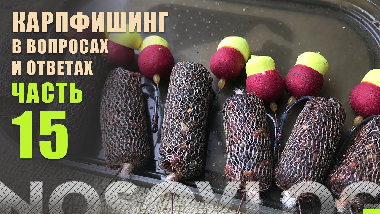 83lb_3qbCLs