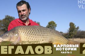 AclIK80JaGM