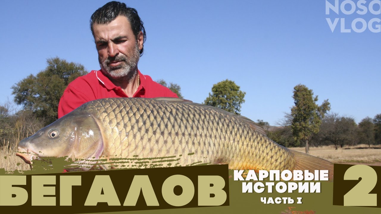 AclIK80JaGM