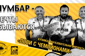 shumbar2020-dreams