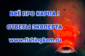 5PFGiIq7vxQ