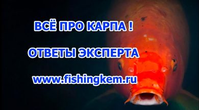 5PFGiIq7vxQ