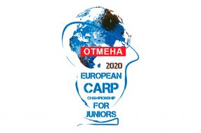 carp-junior1