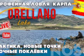 jlOMBgoVAIA