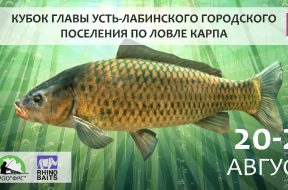 PHOTO-2020-07-21-18-24-32 (1)