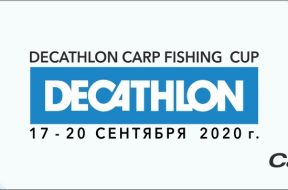 cbcfa4b0-e715-4333-a6b1-046169990ecf