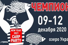 пати_карп_1414х361