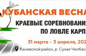 97х31