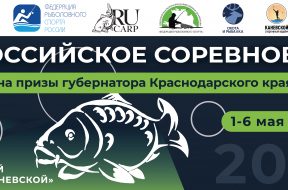 Баннер для объявления_Монтажная область 1
