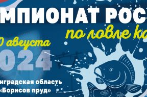 Изображение WhatsApp 2024-07-09 в 23.12.46_4fee3dfb